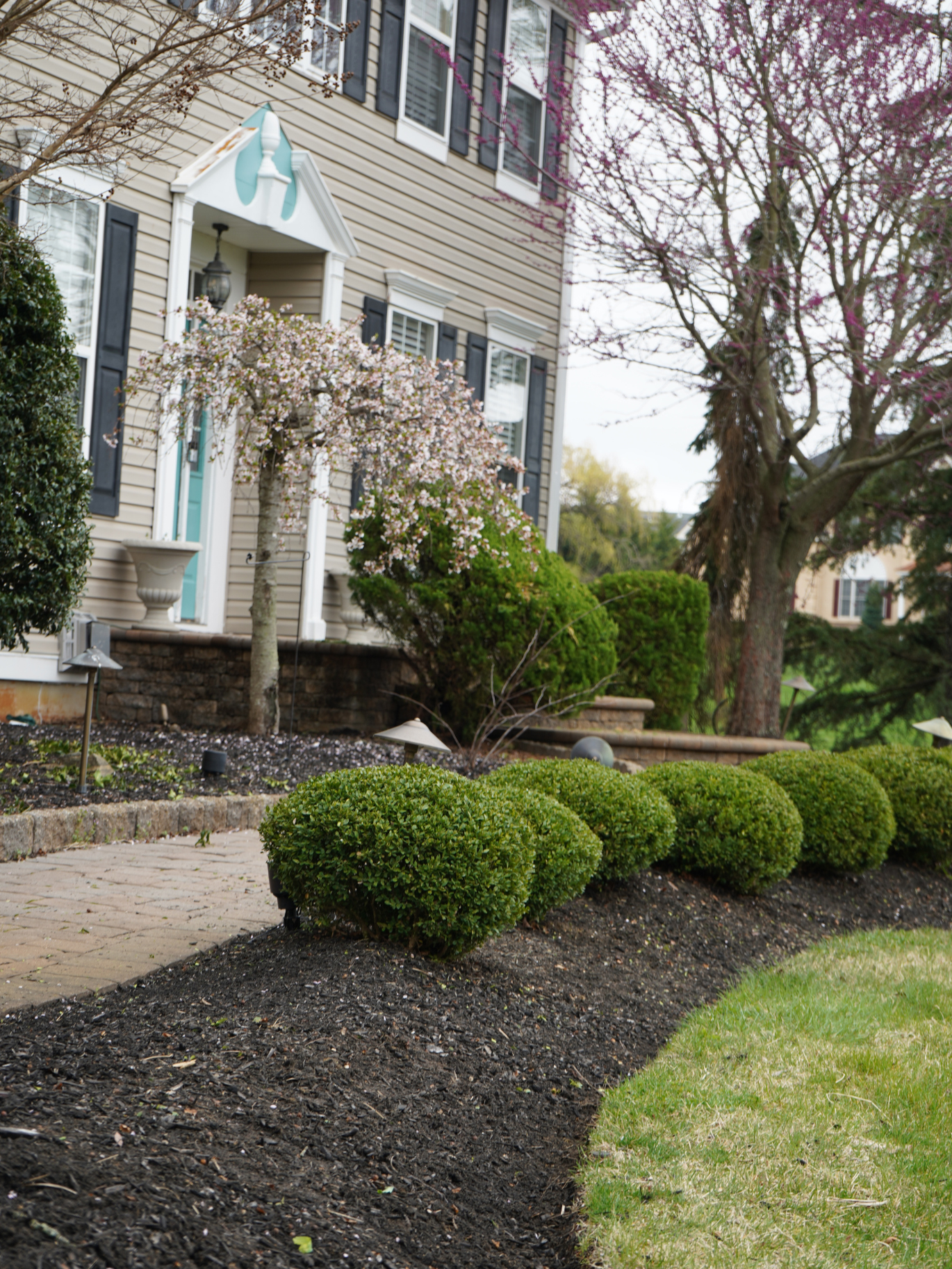 Manicured Boxwood Landscaping