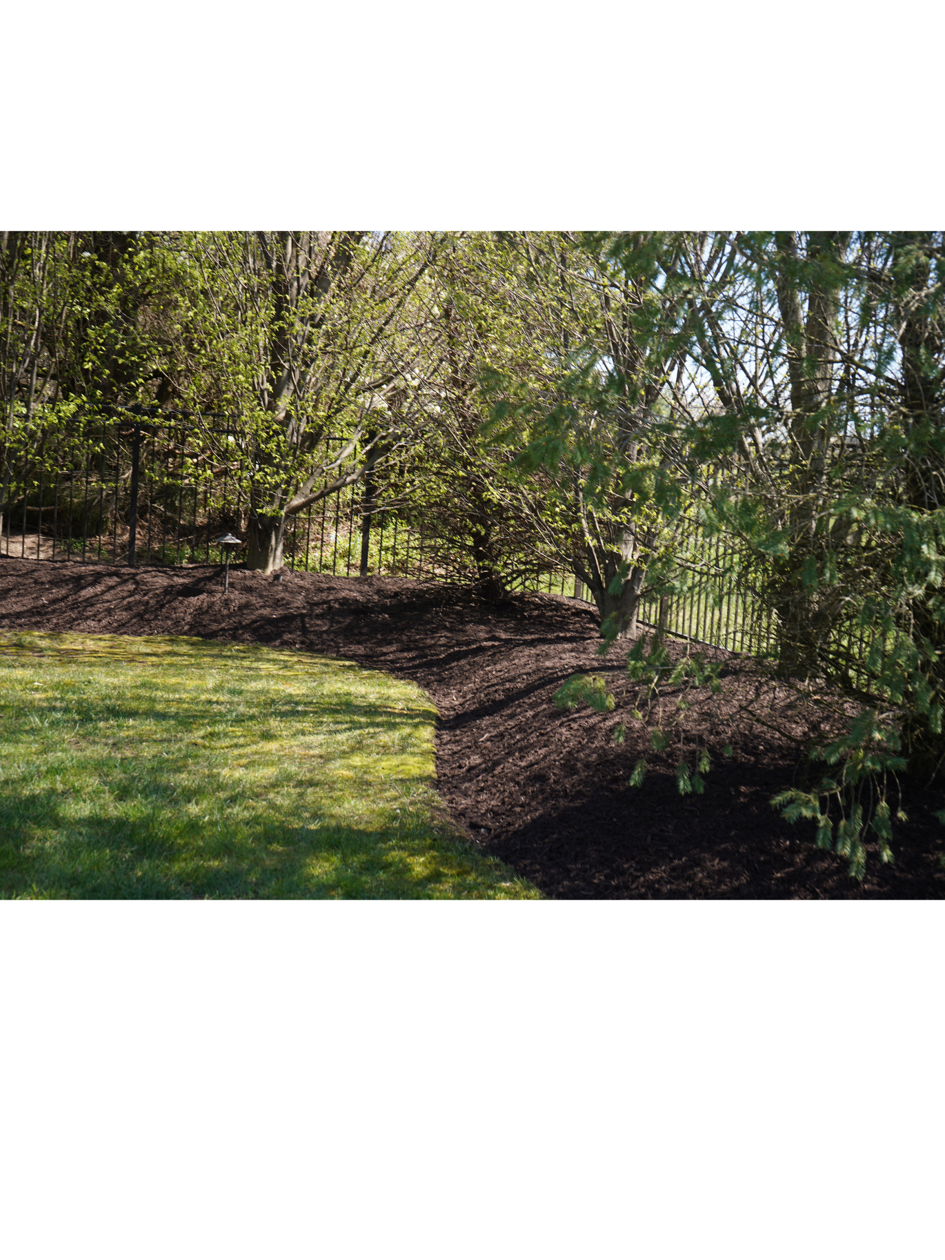 Backyard Garden Beds