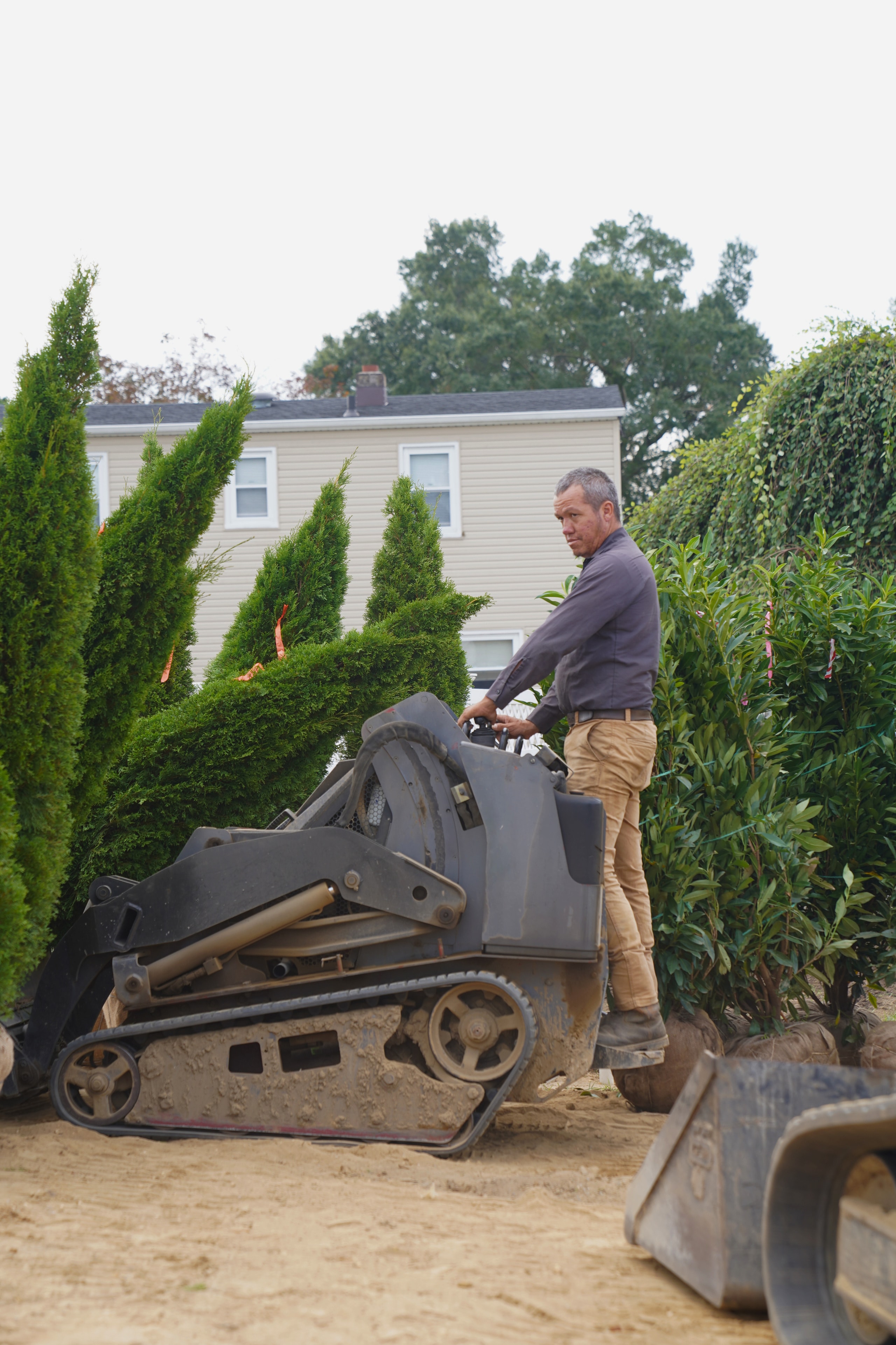 Backyard Plant Installation
