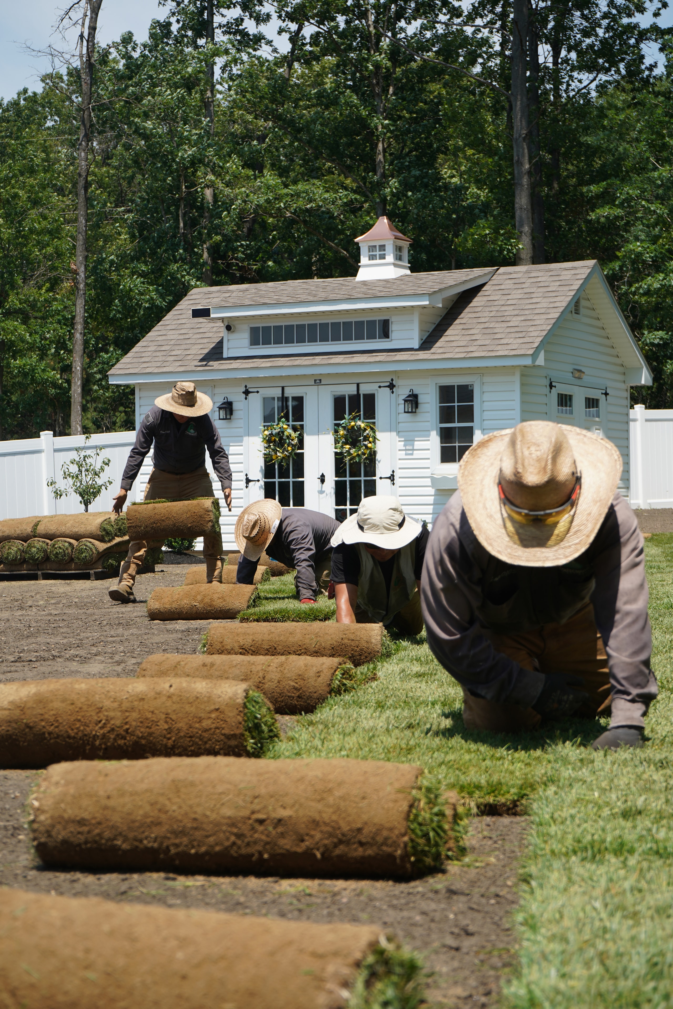 Fresh Sod Laying
