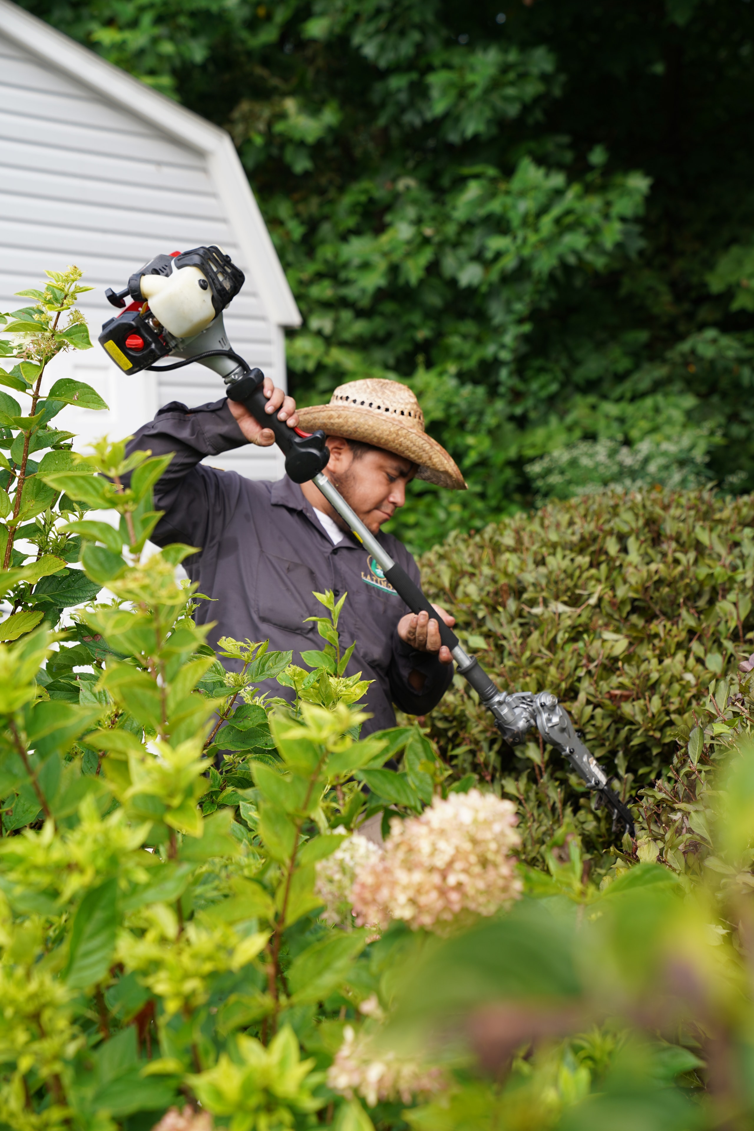 Hedge Trimming